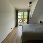 Apartment U Jana *